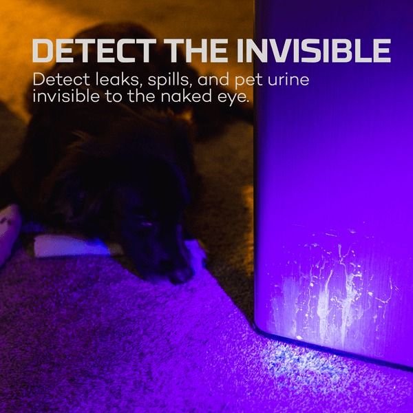 Nebo UK Torchy UV Flashlight