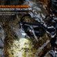 Fenix HM53R Headlamp Cum Right Angle Flashlight
