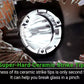 Nextorch TA15 V2 Compact Tactical Flashlight