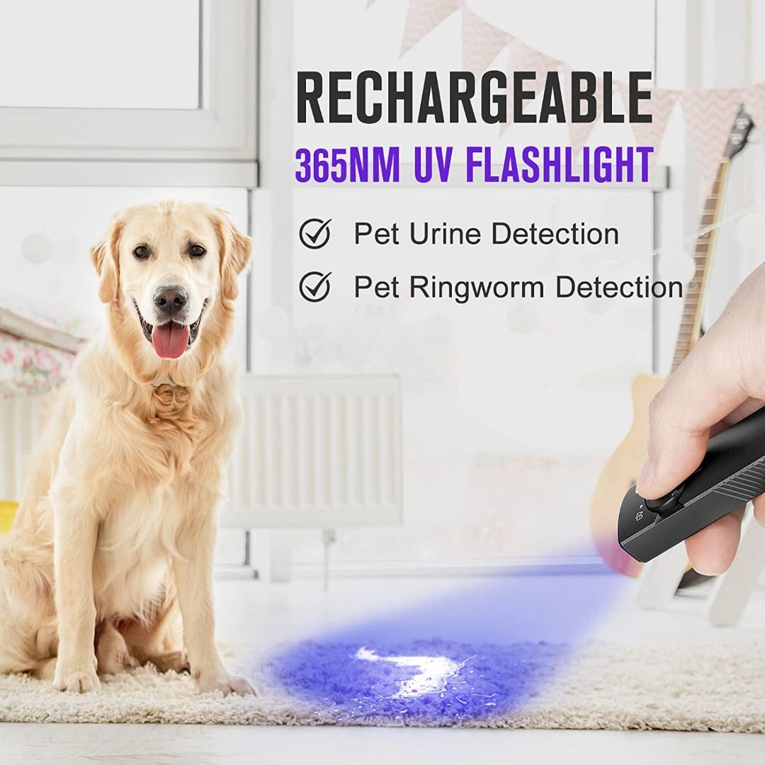 Olight Arkfeld UV Dual Light Sources Everyday Carry Flashlight